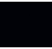 1021/Q Столешница Черный 4200х600х40 1п/5 (Е1) SLOTEX