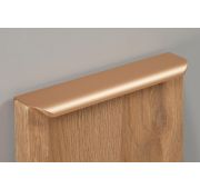 Ручка торцевая RT110SG.1/160/200 Cатиновое золото BOYARD